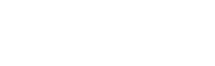 Het Bovib logo in het wit